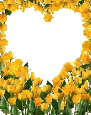 corazón de rosas amarillas. Photomontage