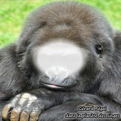 Gorille Fotomontage