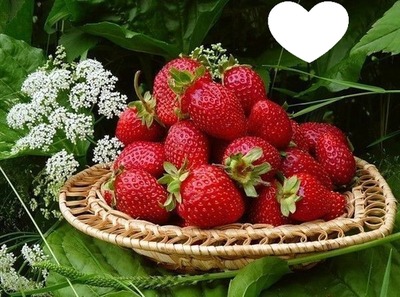 Corbeille fraises Fotomontage