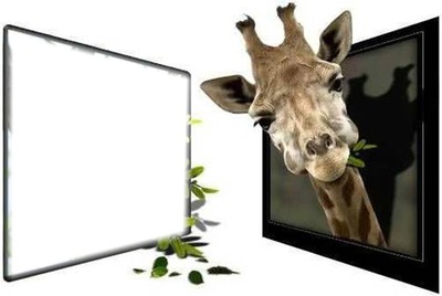 giraffe Photo frame effect