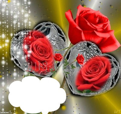 Rosas Rojas Fotomontagem