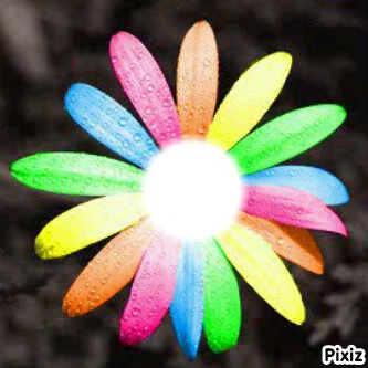 Rainbow Flower Photomontage