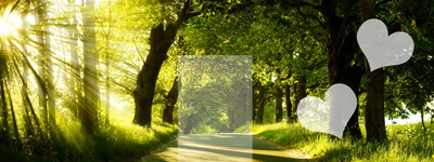 Leśny Krajobraz Photo frame effect