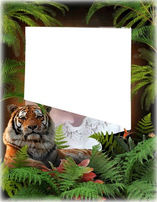 tijger Photo frame effect