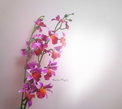 Orchidee für dich Fotomontaggio