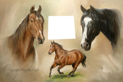 de drie  paarden Fotomontaggio