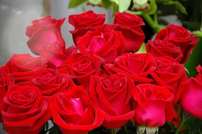 rojas rosas Fotomontaža