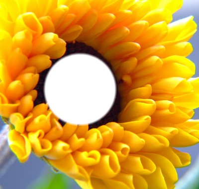 Sunflower Фотомонтажа