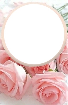 marco circular y rosas rosadas. Fotomontagem