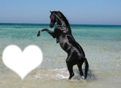 l'amour du cheval Photo frame effect