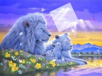 famille lion Fotomontage