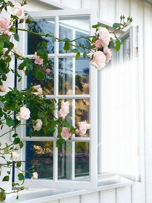 Fenêtre avec roses Фотомонтаж