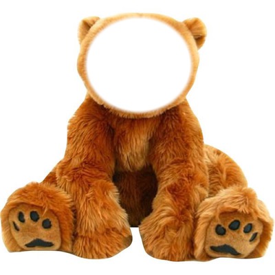 Ours peluche Fotomontage