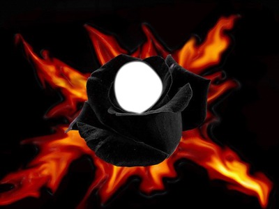 rose noir flamme Фотомонтаж
