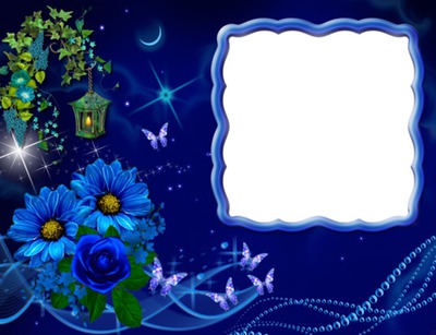 Fleurs bleues-papillons-nuit Photo frame effect