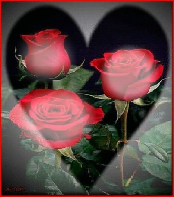 renewilly 3 rosas Fotomontáž