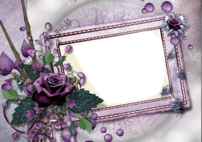 purple rose Montage photo