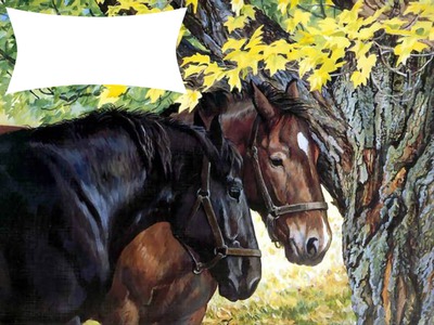 2 chevaux 1 photo Fotomontage