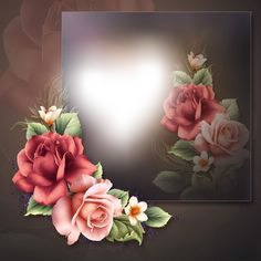 beautiful roses Photo frame effect
