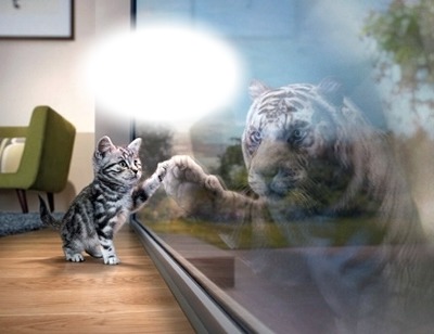 Chat-tigre Fotomontaggio