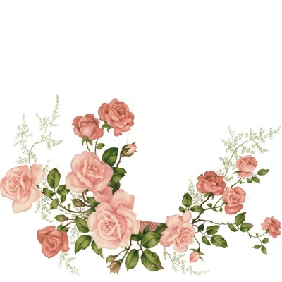 marco entre rosas rosadas. Fotomontaż