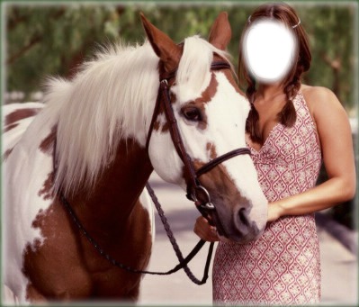 fille et cheval Photomontage