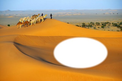 Sahara Fotomontaža