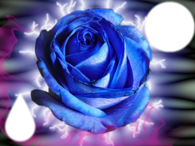 rose bleu Fotomontāža