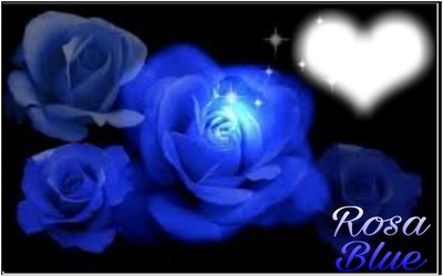 Rosa Blue Fotomontaż