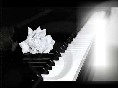 Piano rose Photo frame effect