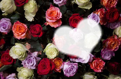 coeur de roses Photo frame effect