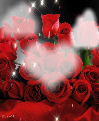 rosas rojas Fotomontage