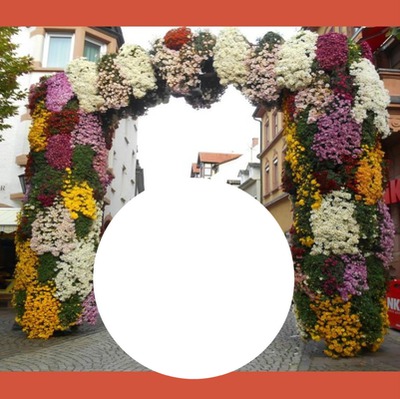 2014 Chrysanthema Lahr Photo frame effect