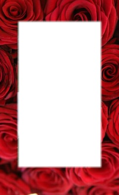 cadre roses Photomontage