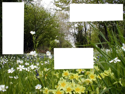 Printemps-Bois fleuri -springtime Photomontage
