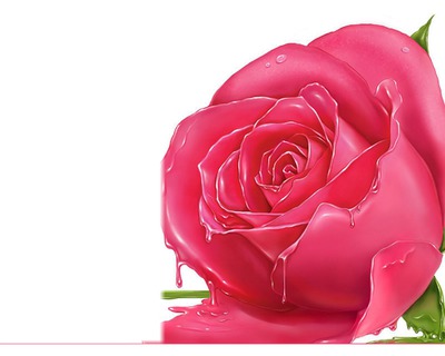 rose rose Fotomontaža