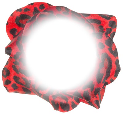 leopard rose Valokuvamontaasi