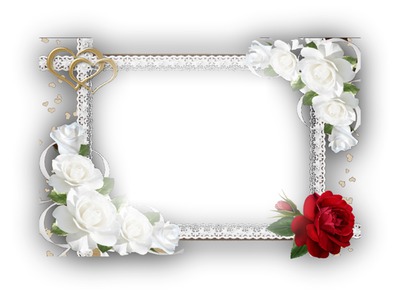 ROSES FRAME Montage photo