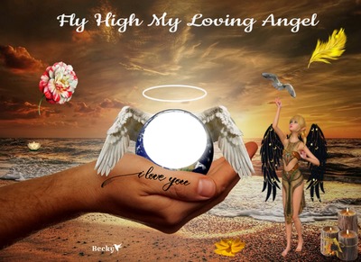 fly high my loving angel Montage photo