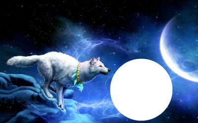 Бял Вълк и Луна Photo frame effect