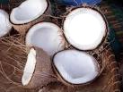 1 photo fond noix de coco