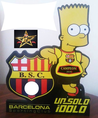 campeon bsc 2016 Fotomontage