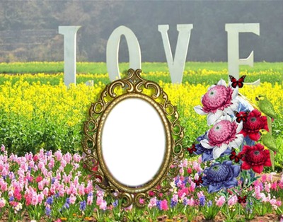 Love flores Photo frame effect