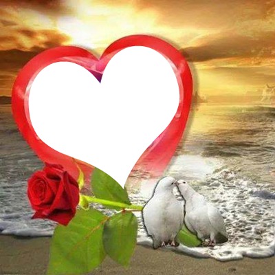 coeur sur la plage avec 2 colombes et 1 rose 1 photo Montaje fotografico