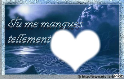 manques Montage photo