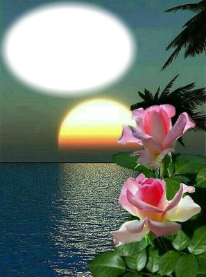 Coucher de soleil-roses-nature Фотомонтажа