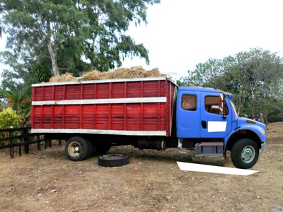 camion san jeronimo Fotomontáž