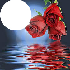 rosas de amor Fotomontagem