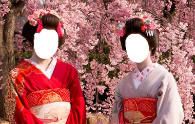 geisha Montage photo