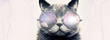 kot,okulary Fotomontaż